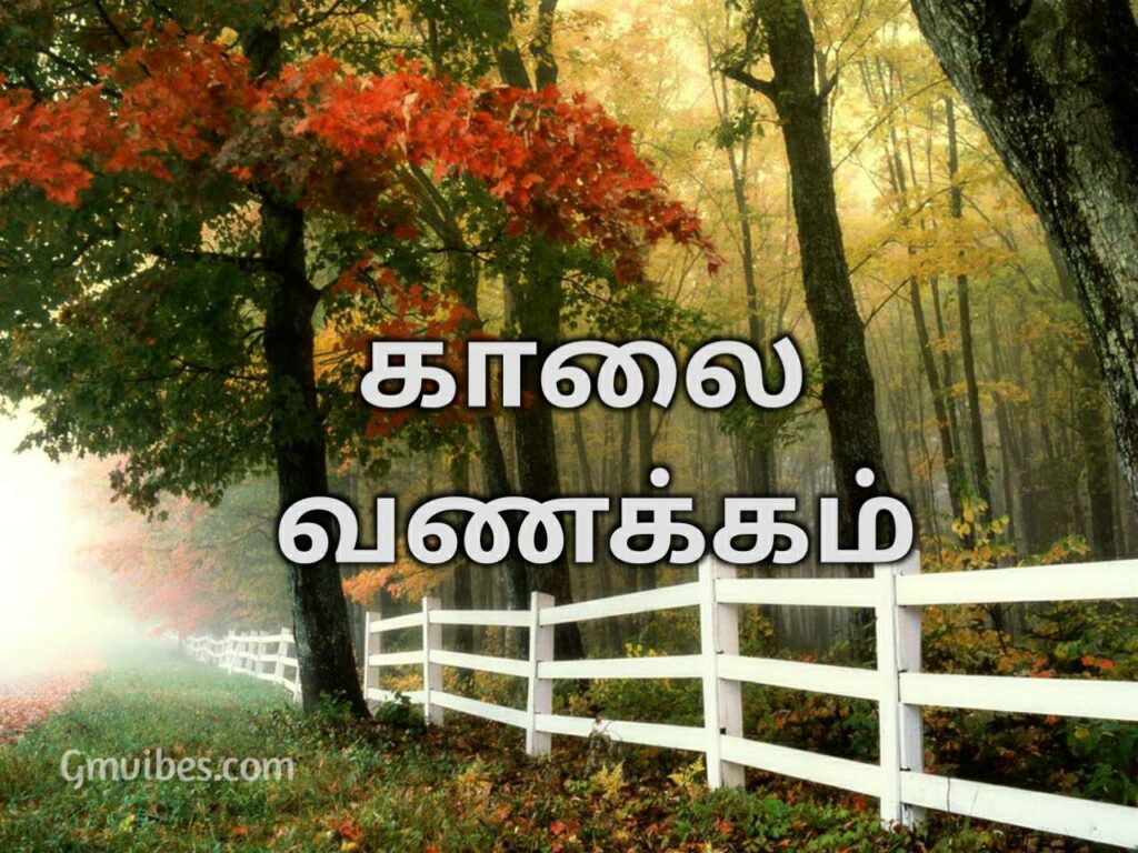 Fences tress morning tamil language