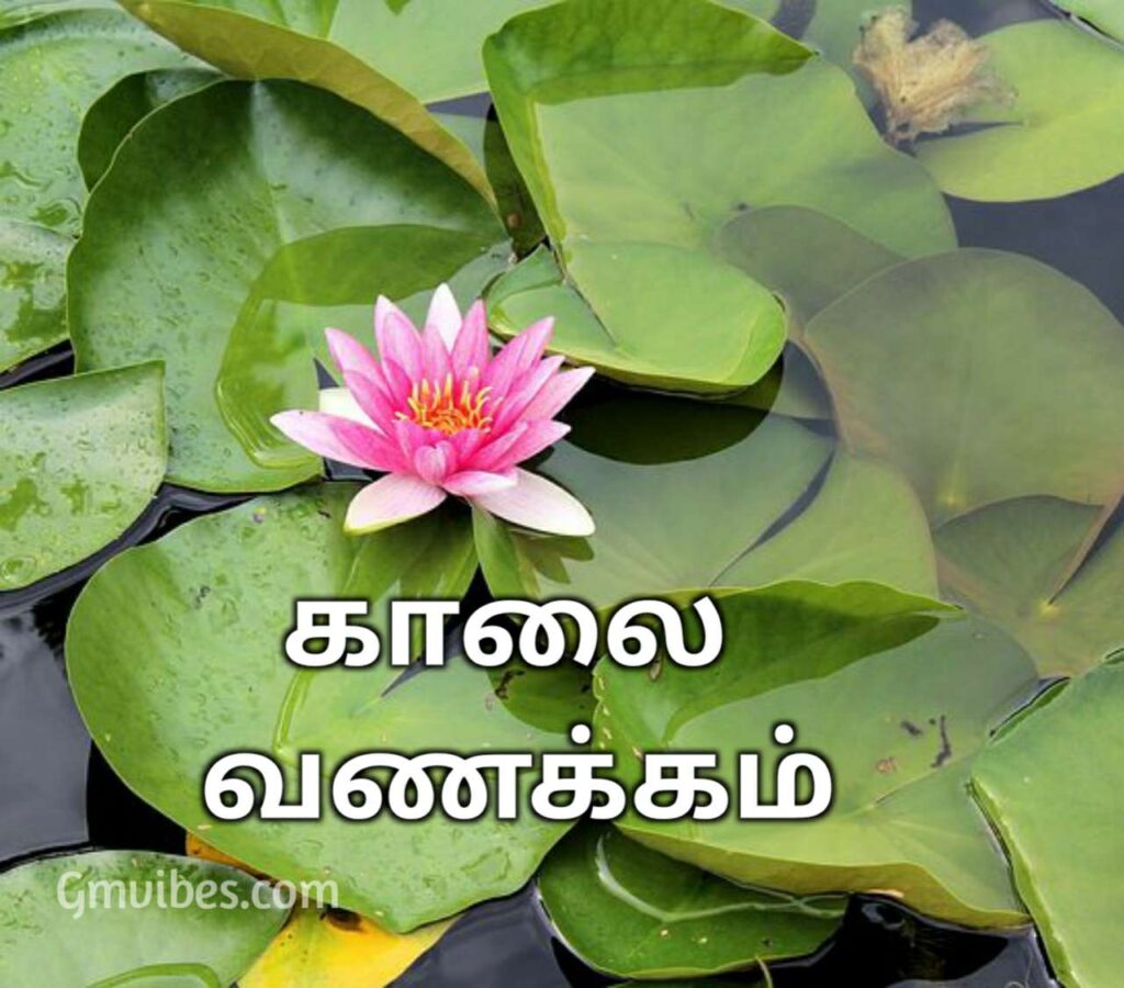 morning flower Tamil wish