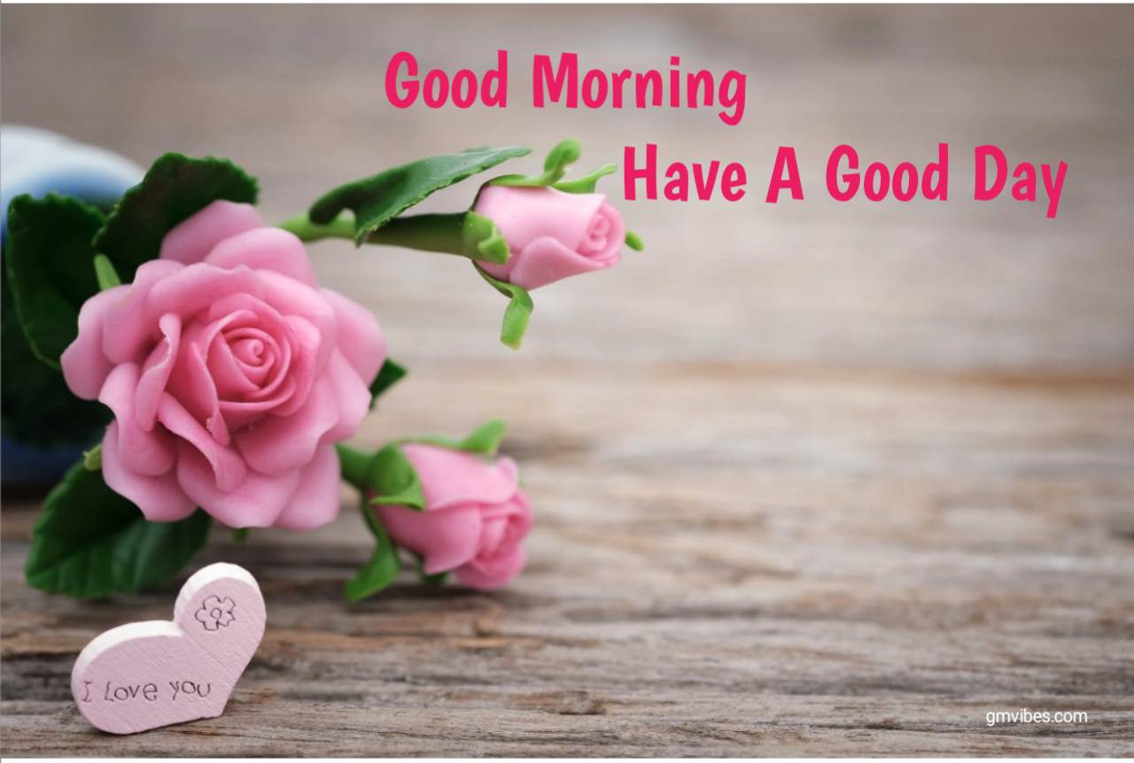 Good morning flowers images pink